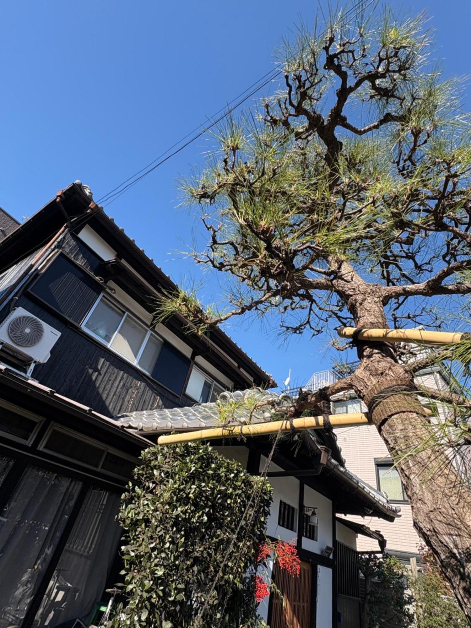Kitazawa Cozy House Guest house Tokyo