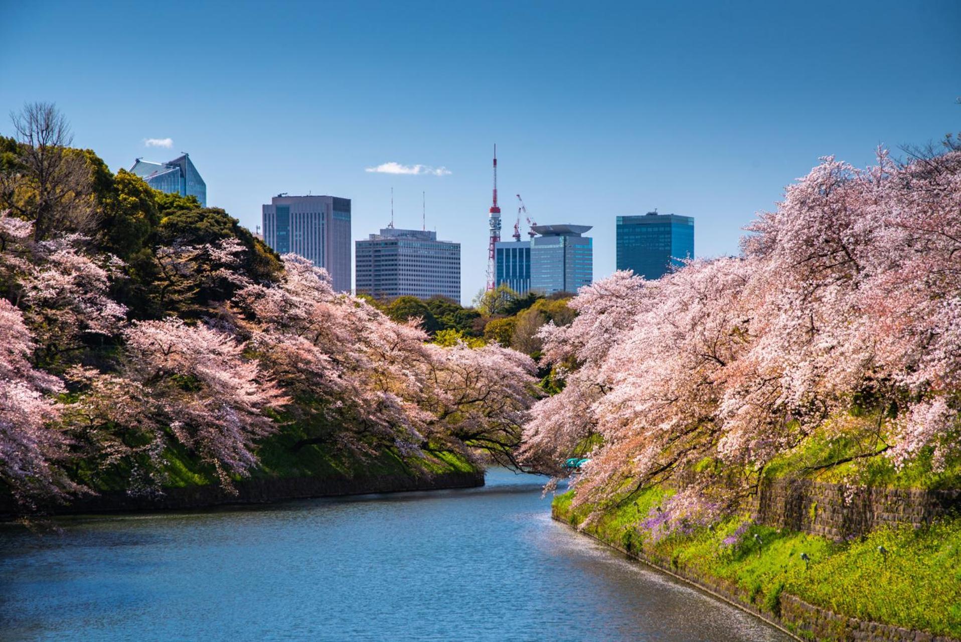 Hotel Four Seasons At Marunouchi 5*