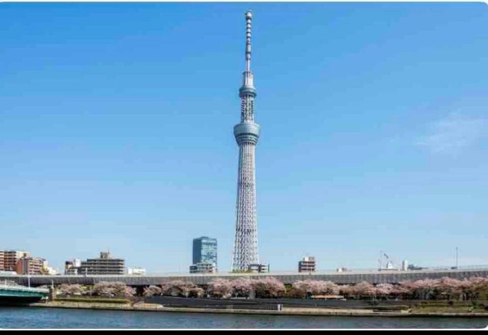 Momo Palace