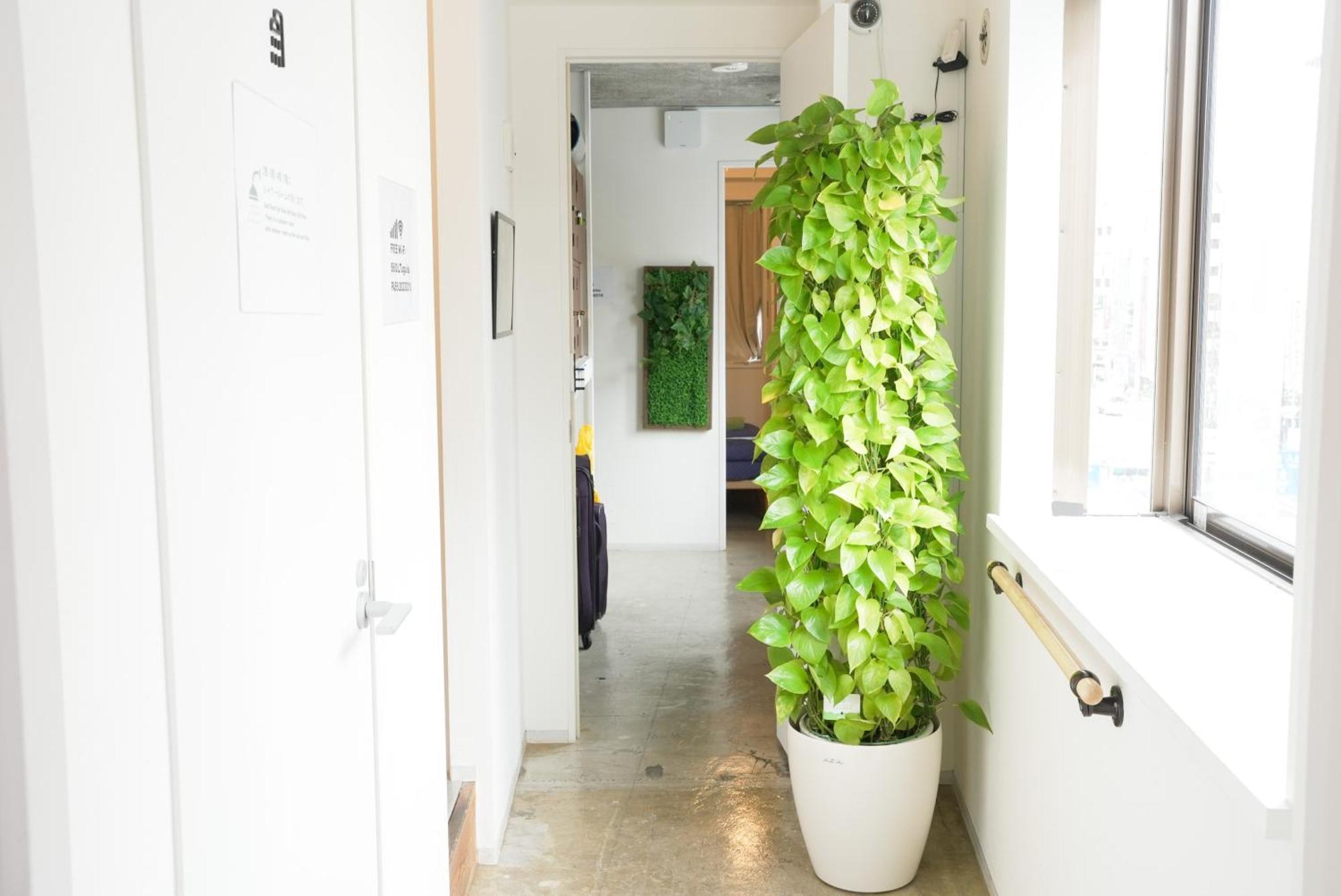 Hostel Uguisudani Tokyo