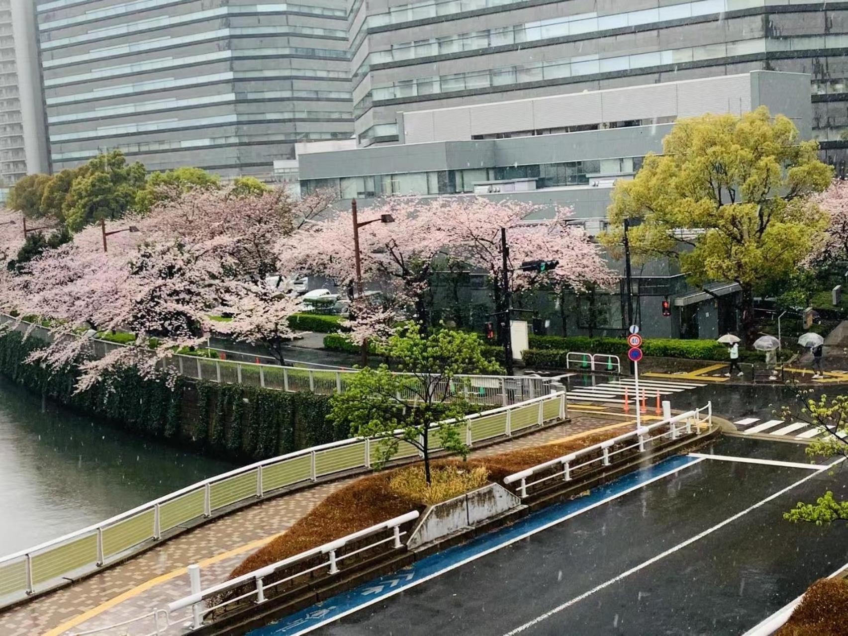 品川東五反田駅徒歩5分の最上階バルコニー付き贅沢体験 * Tokyo