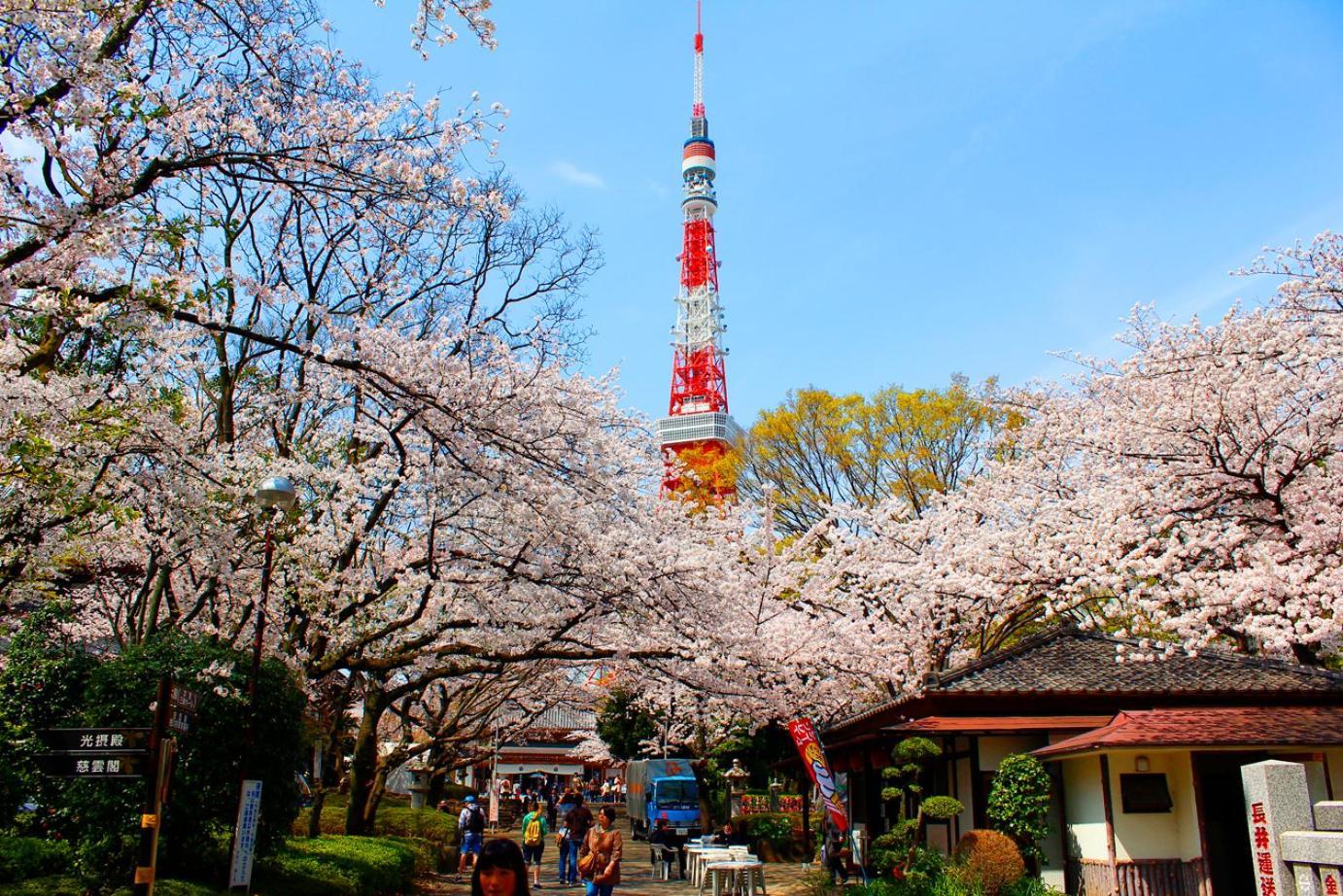 Rose Shiba Park 3*