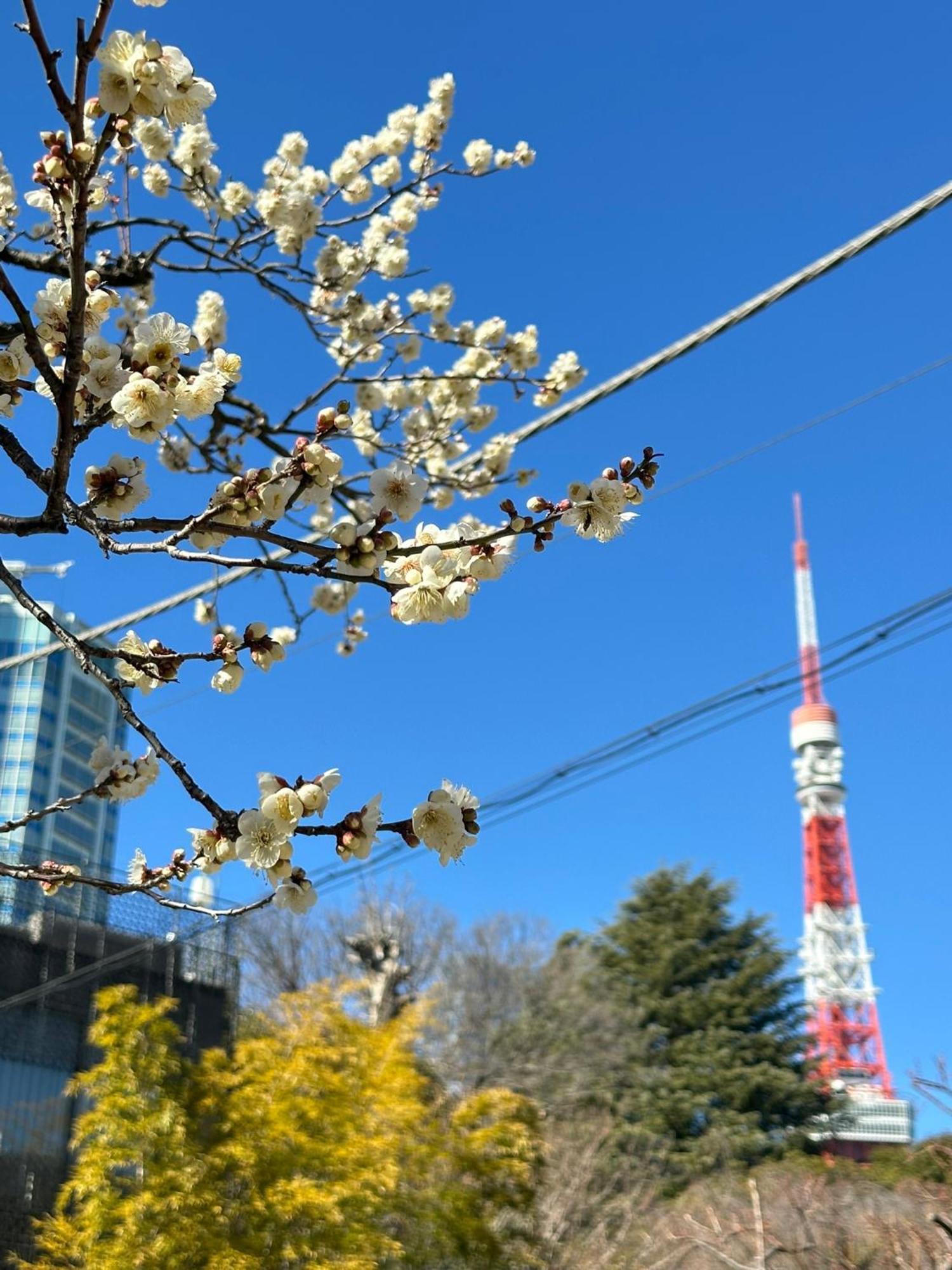 Rose Shiba Park Hotel