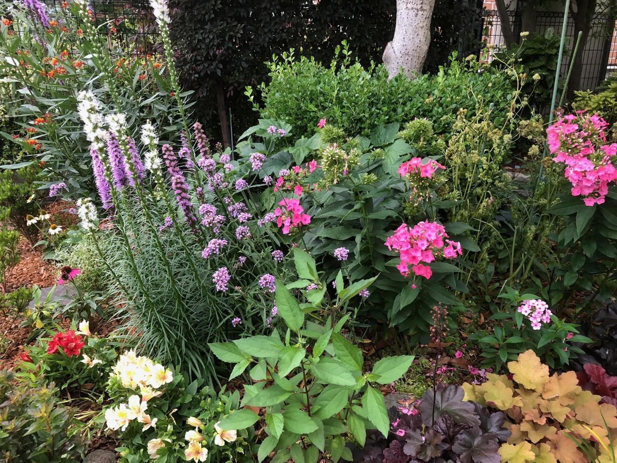 S & K Garden House