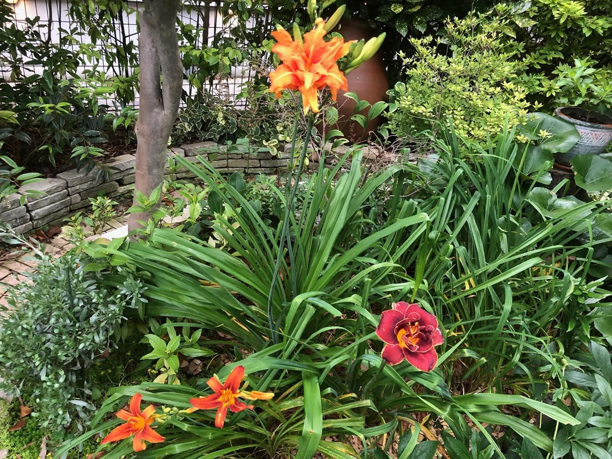 Apartment S & K Garden House