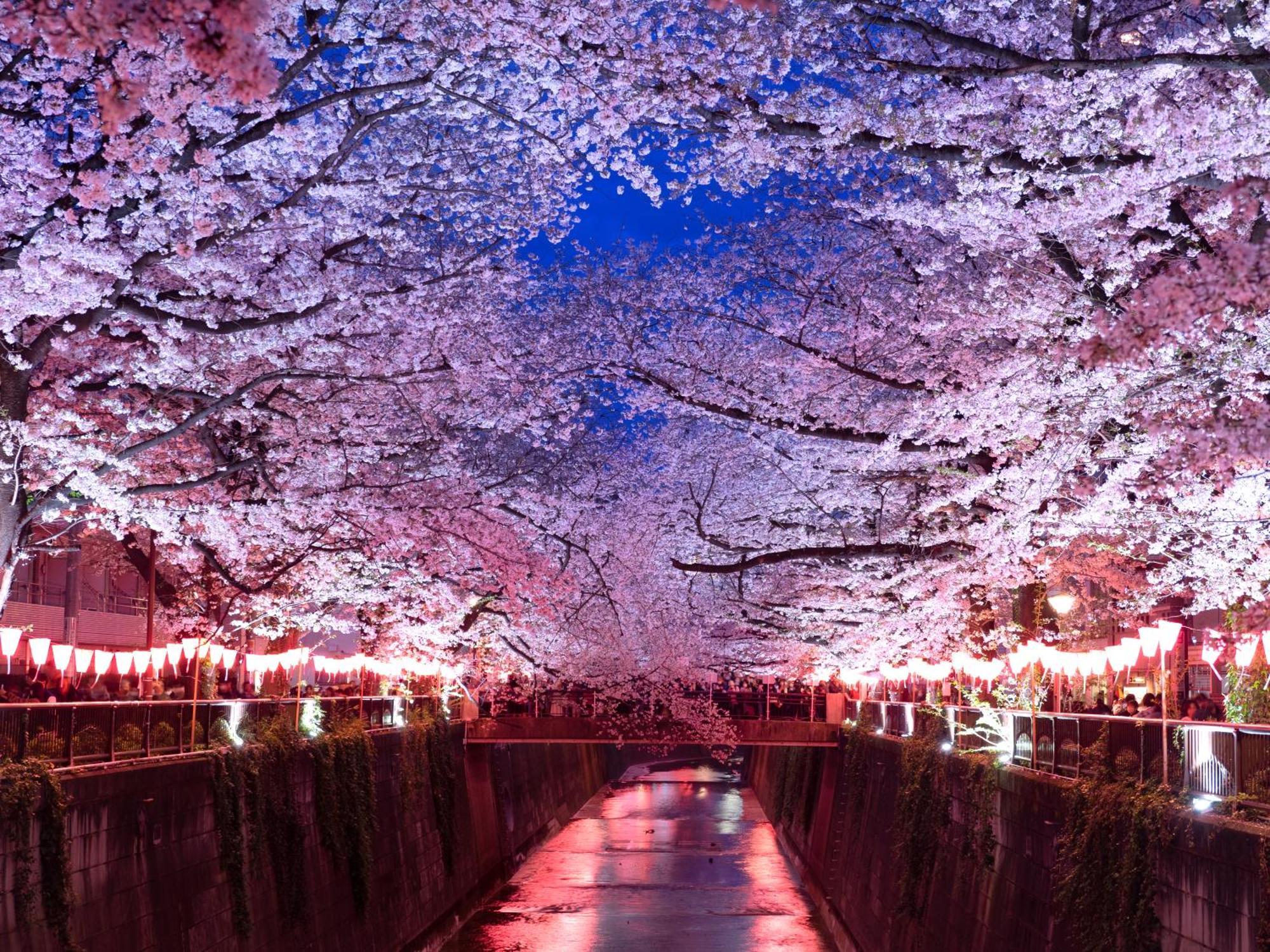 The Westin Tokyo