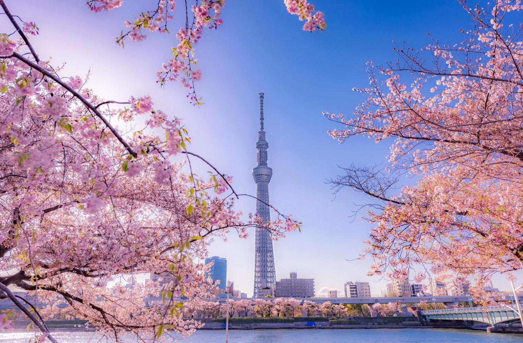 The Westin 5* Tokyo