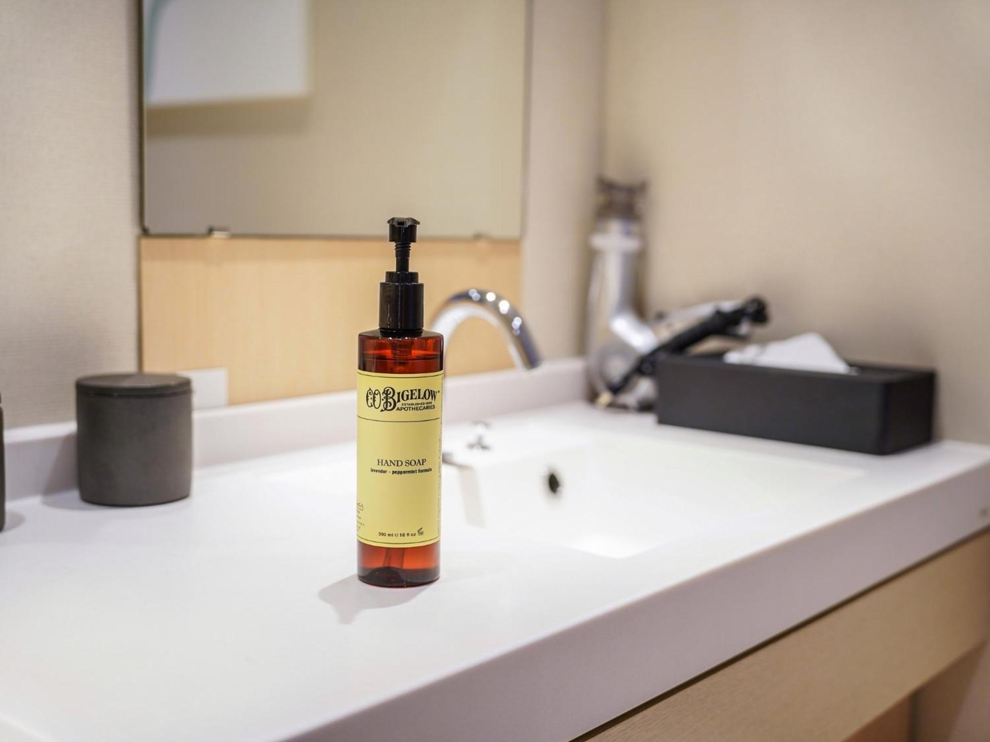 Hotel Ibis Styles Ginza East
