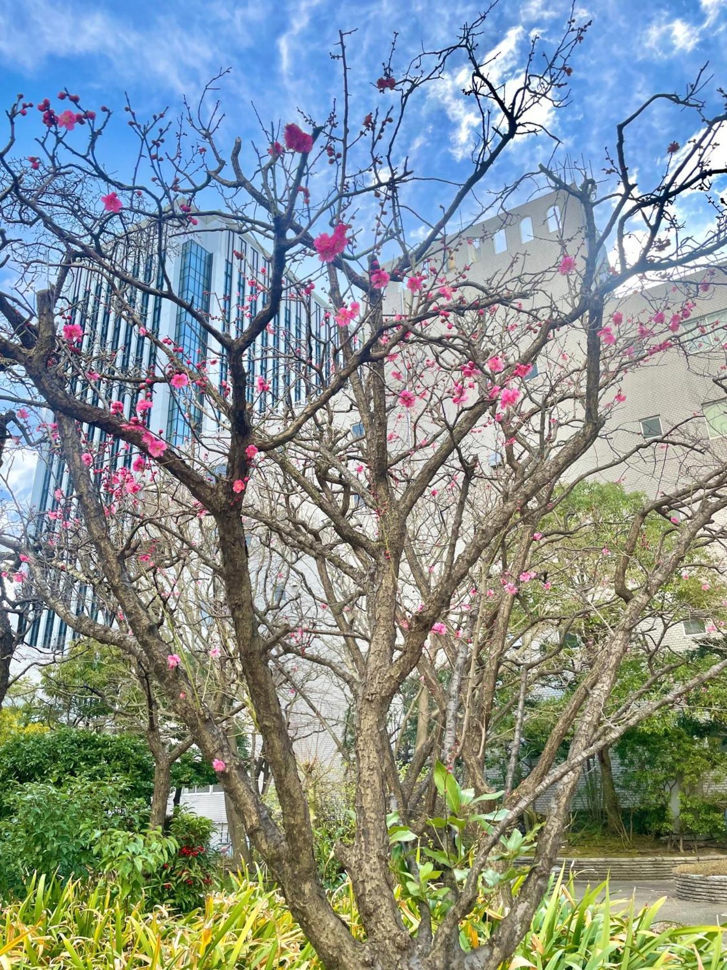 Toshi Center Hotel Tokyo