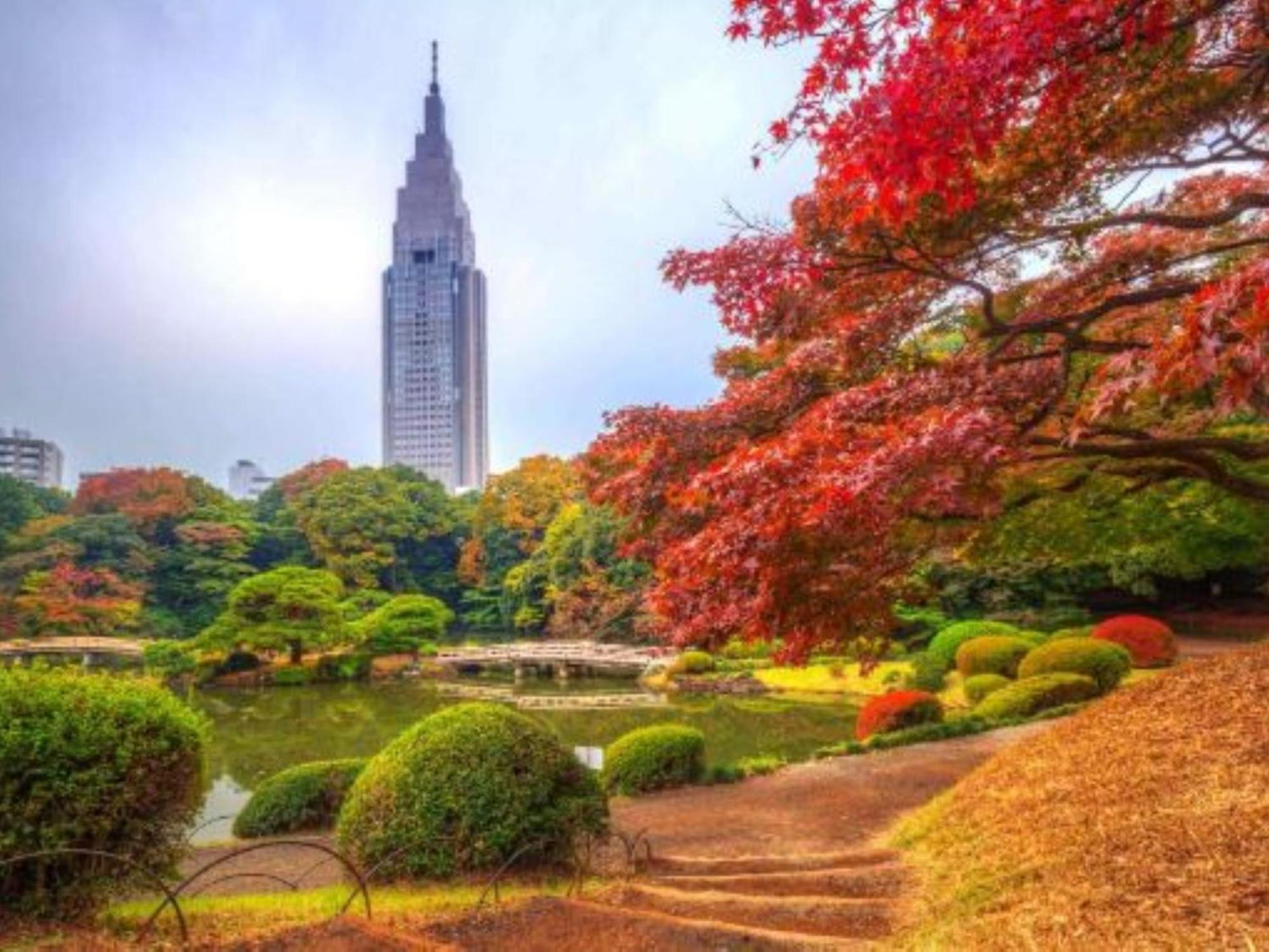 Shinjuku/shin-okubo Sta 2min Walk/kabukicho 5 Min Apartment *