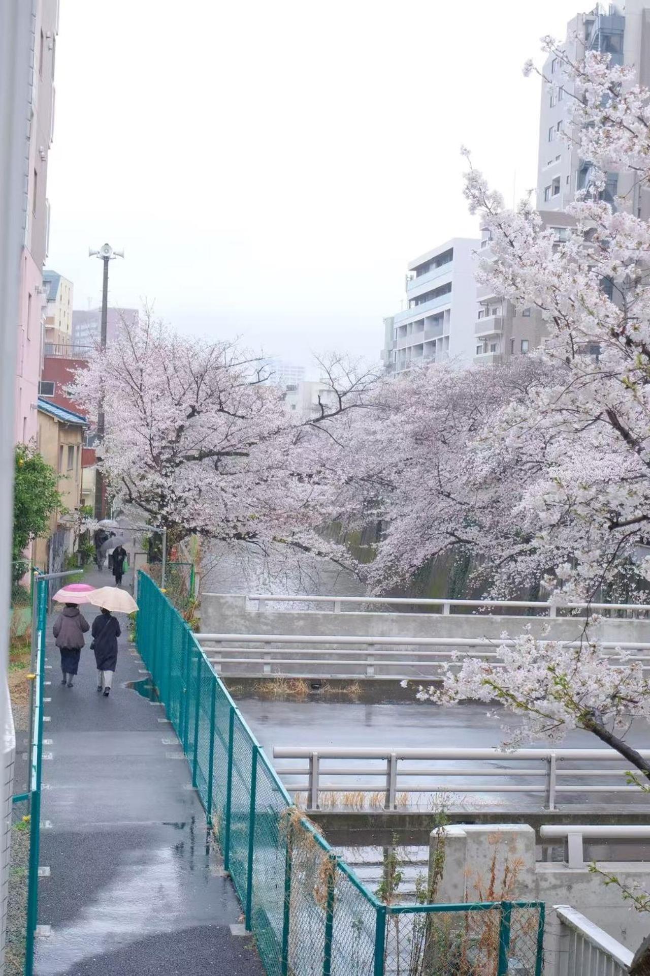 Waseda House Aparthotel