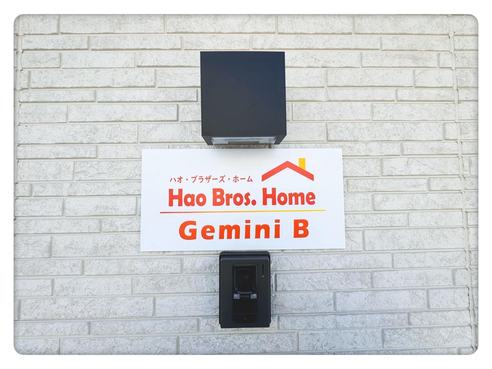 Hao Bros Gemini *