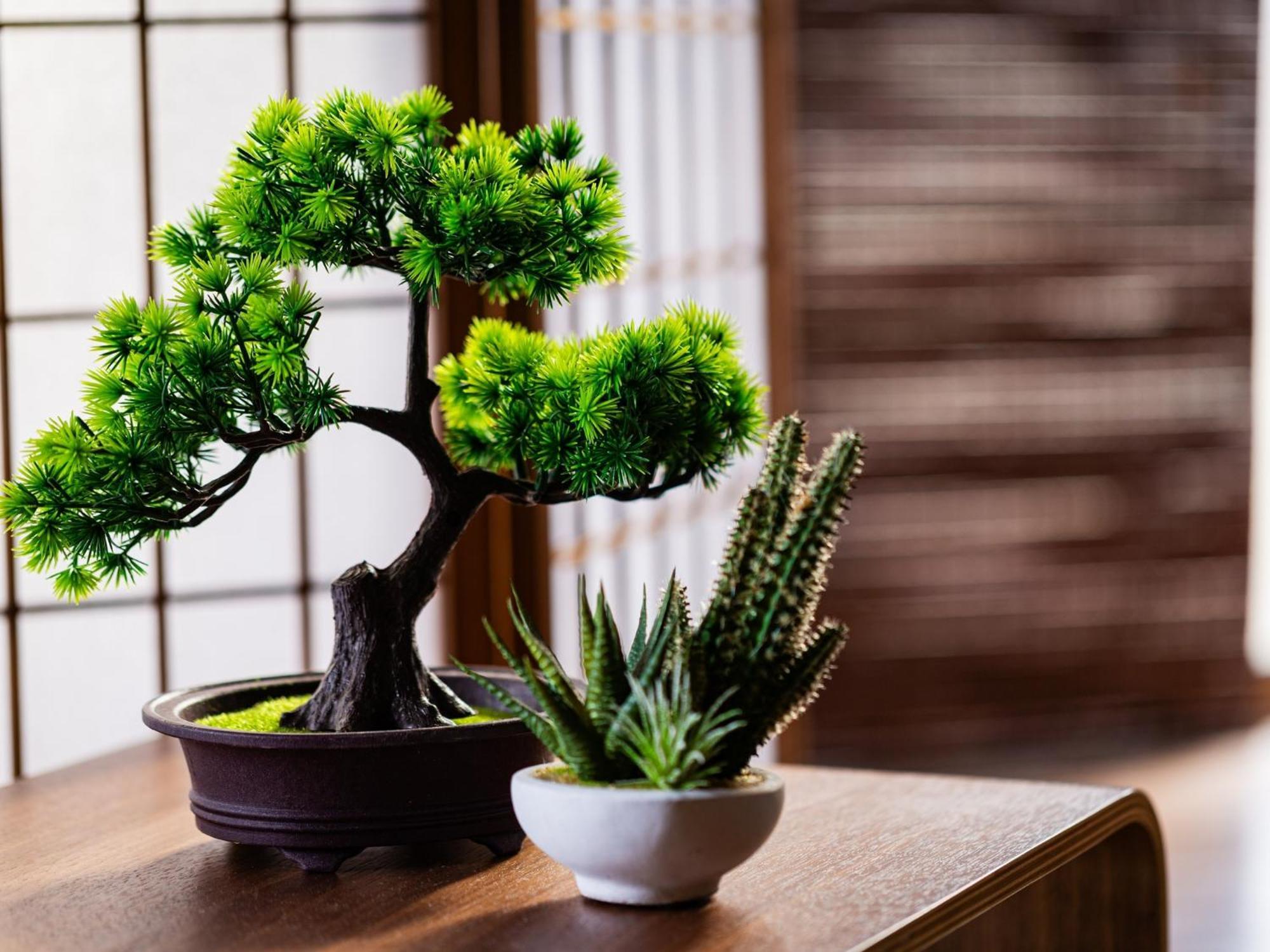 The Samurai Holiday home *