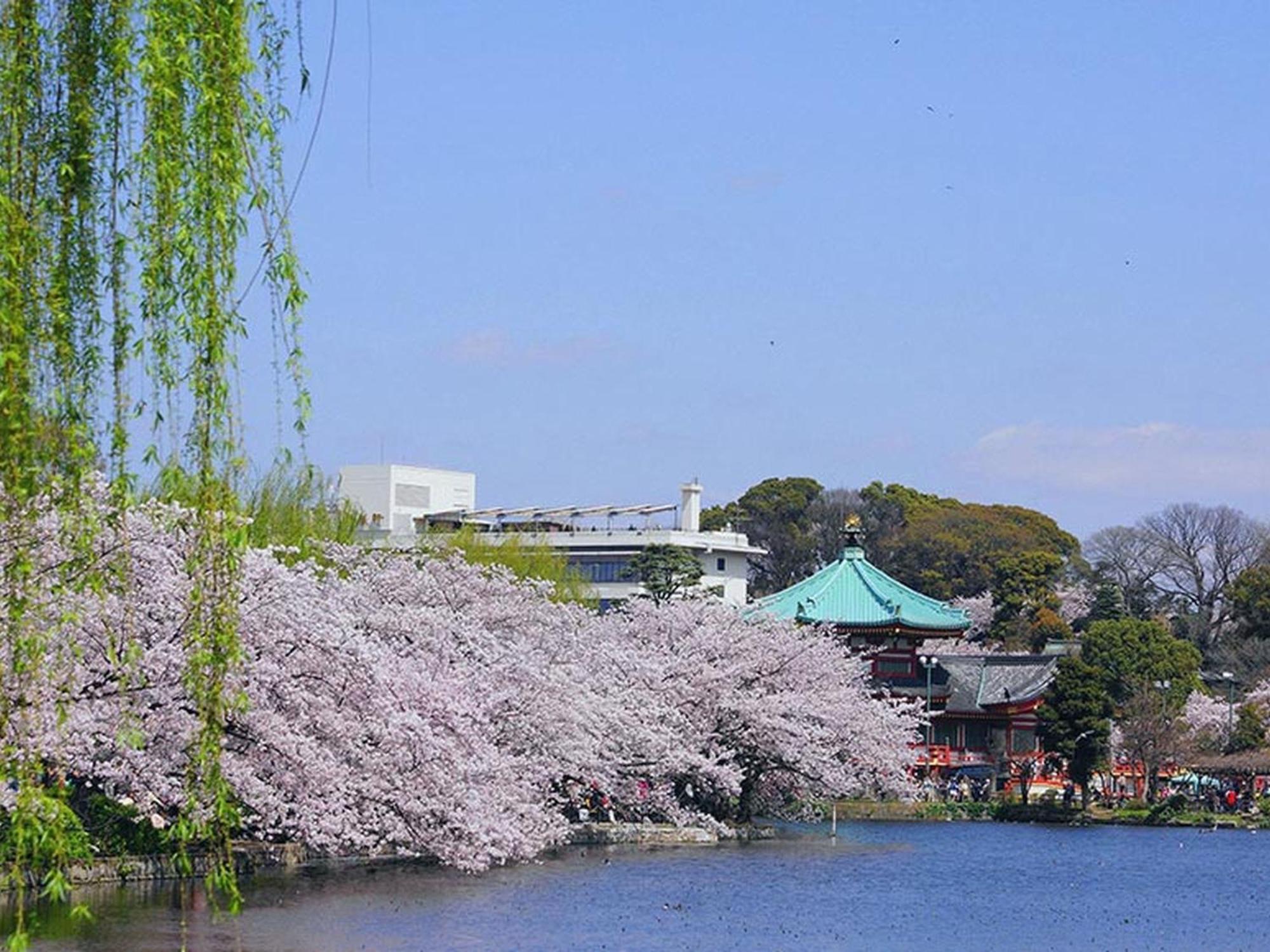 Mystays Ueno Iriyaguchi 3* Tokyo