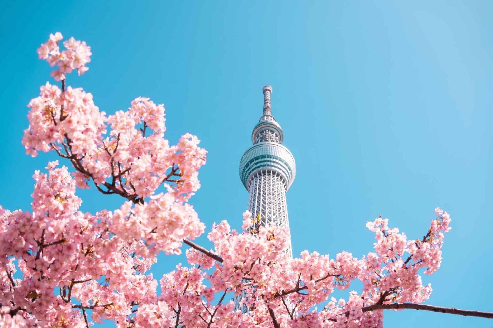 Hotel Fl Asakusa Tokyo