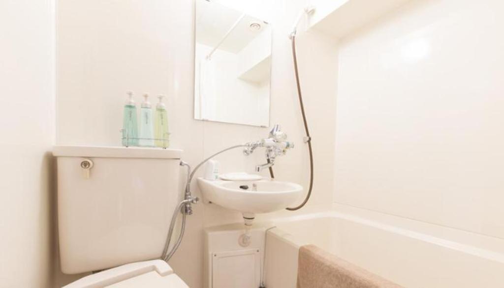Starplaza Ikebukuro Hotel 2*