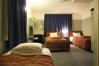 Ueno New Izu Hotel 2*
