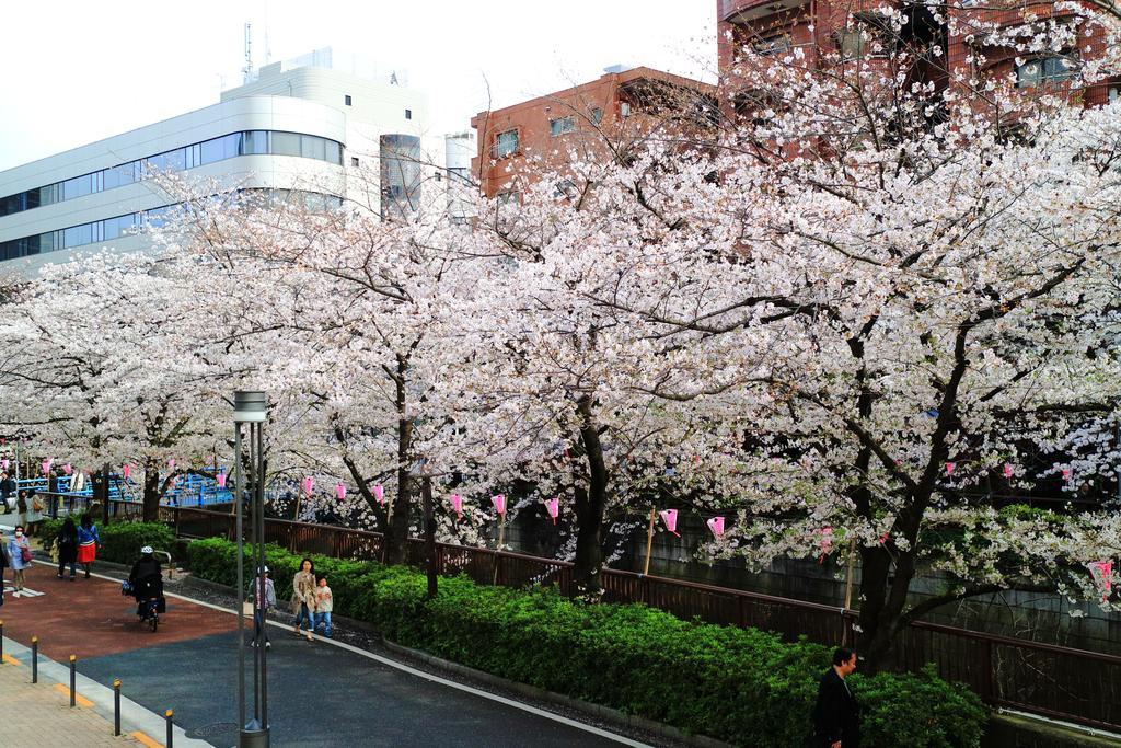 Apartment Coto Shibuya