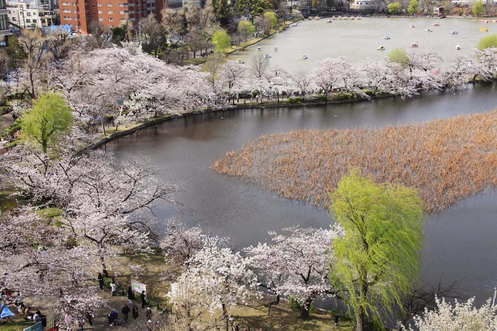 Hotel Centurion Ueno 3*