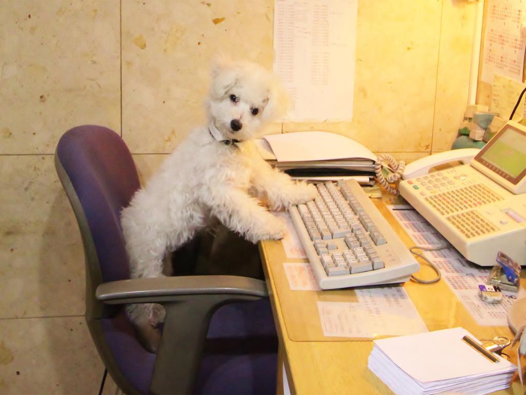 Business Ban Guest house