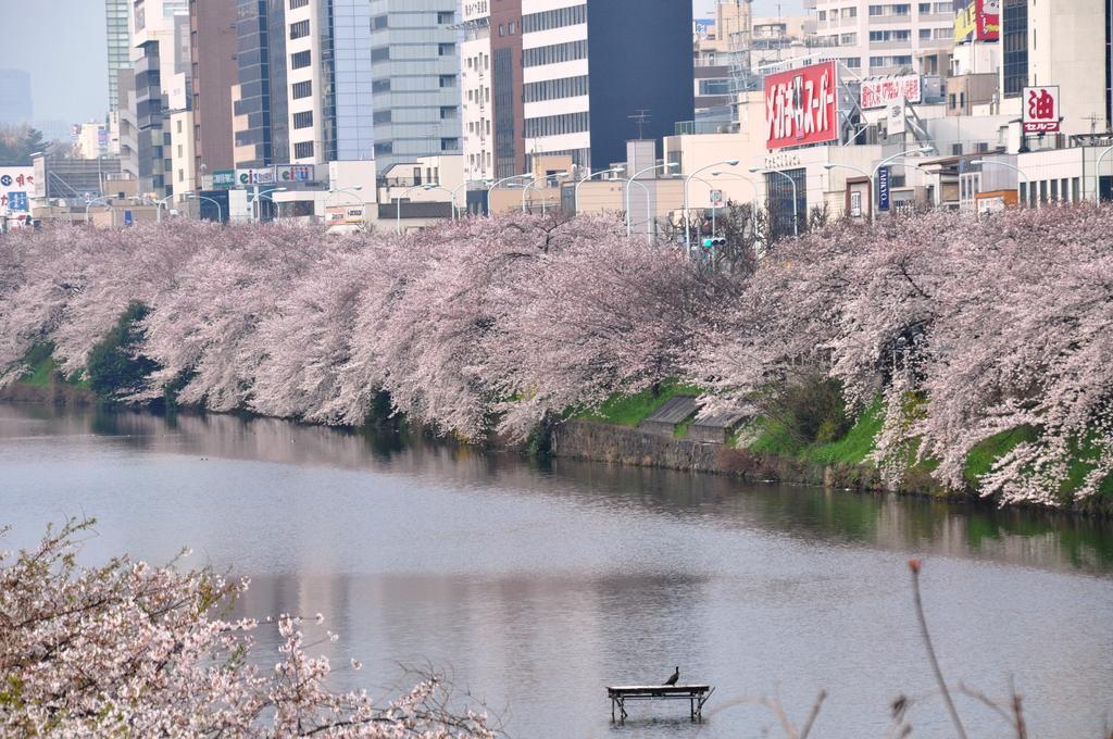 Sotetsu Fresa Ochanomizu Jimbocho 3* Tokyo