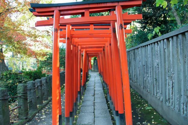 Base Komagome