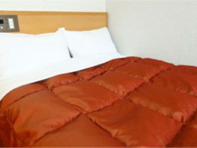 Hotel Sardonyx Ueno 3*