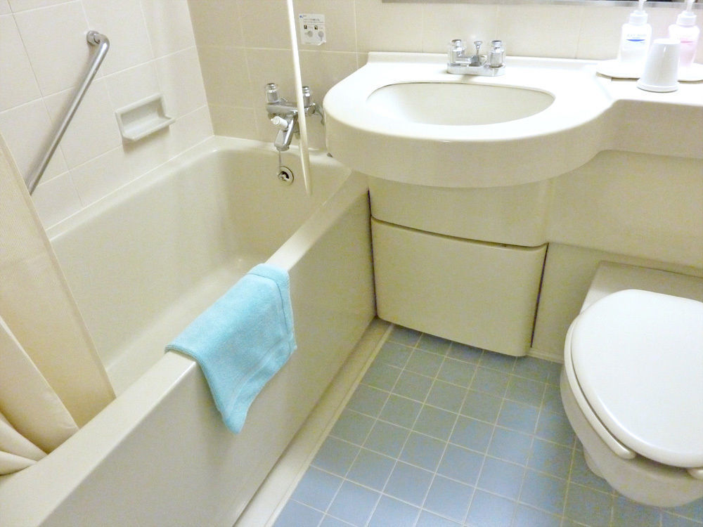 Hotel Mystays Kiyosumi Shirakawa 3*