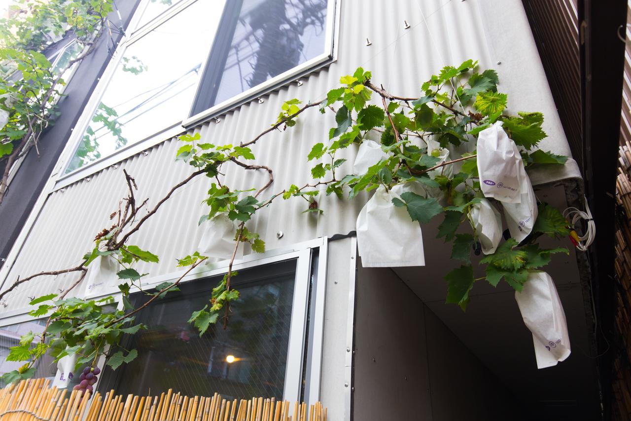 Apartment Budo No Nagaya