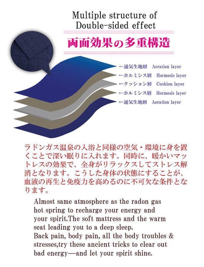 Capsule hotel Hormesis