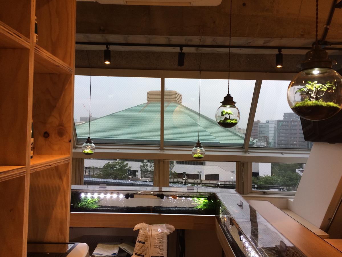 D-hostel Ryogoku Hostel