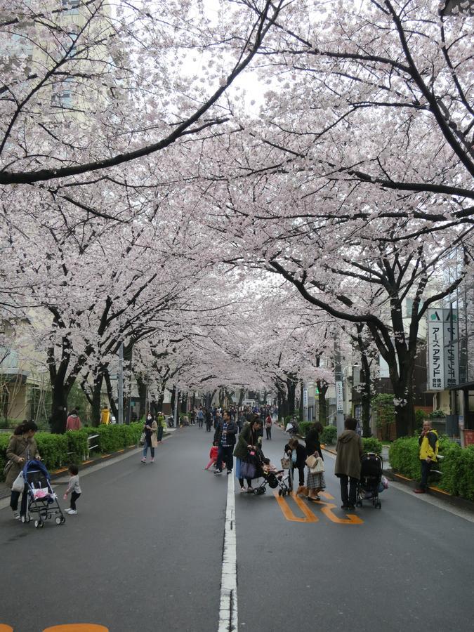 No Borders Guest house Tokyo