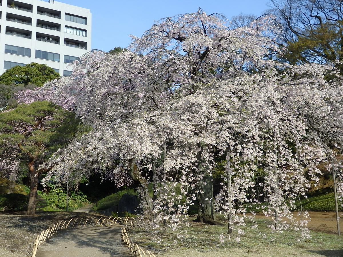 Koraku Garden 3*