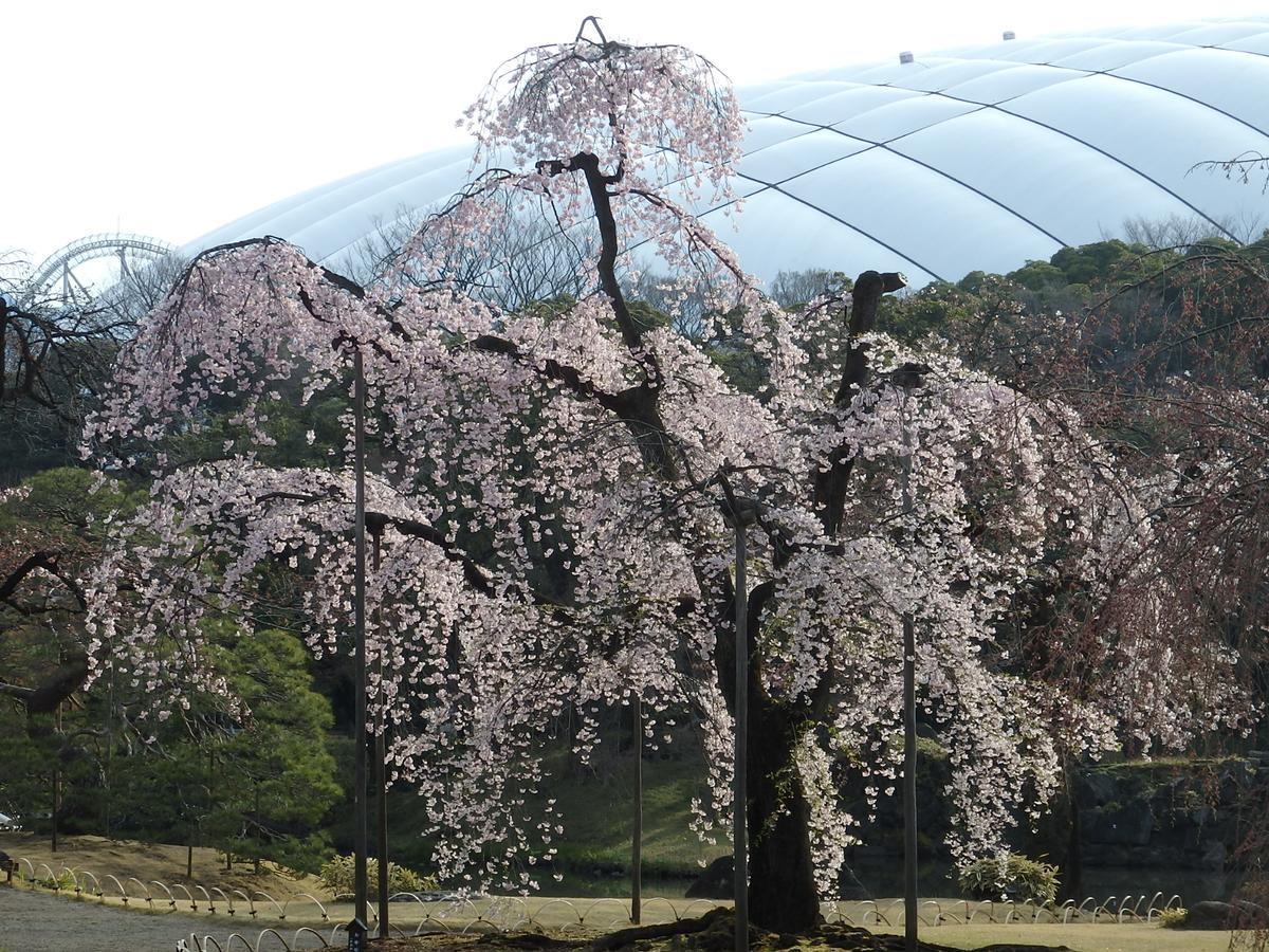 Hotel Koraku Garden