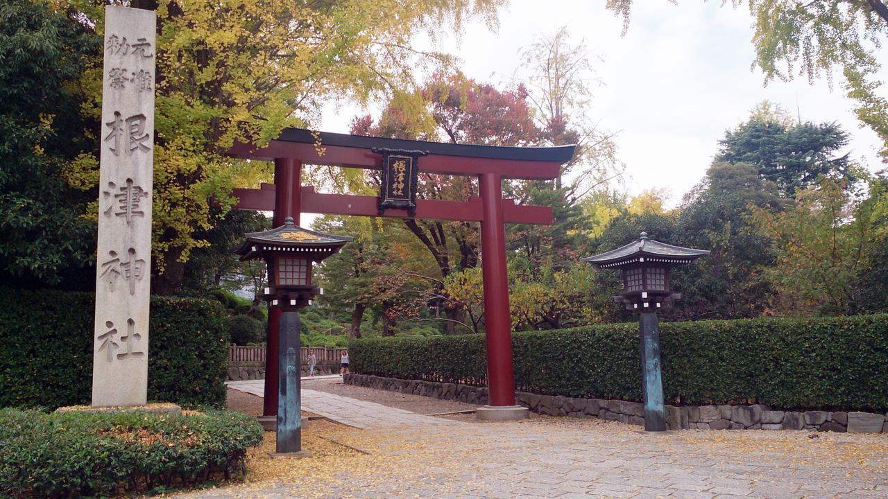 Namio 201
