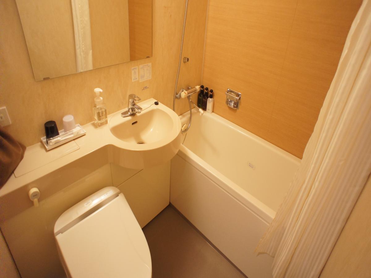 Nishitetsu Shinjuku Hotel 3*