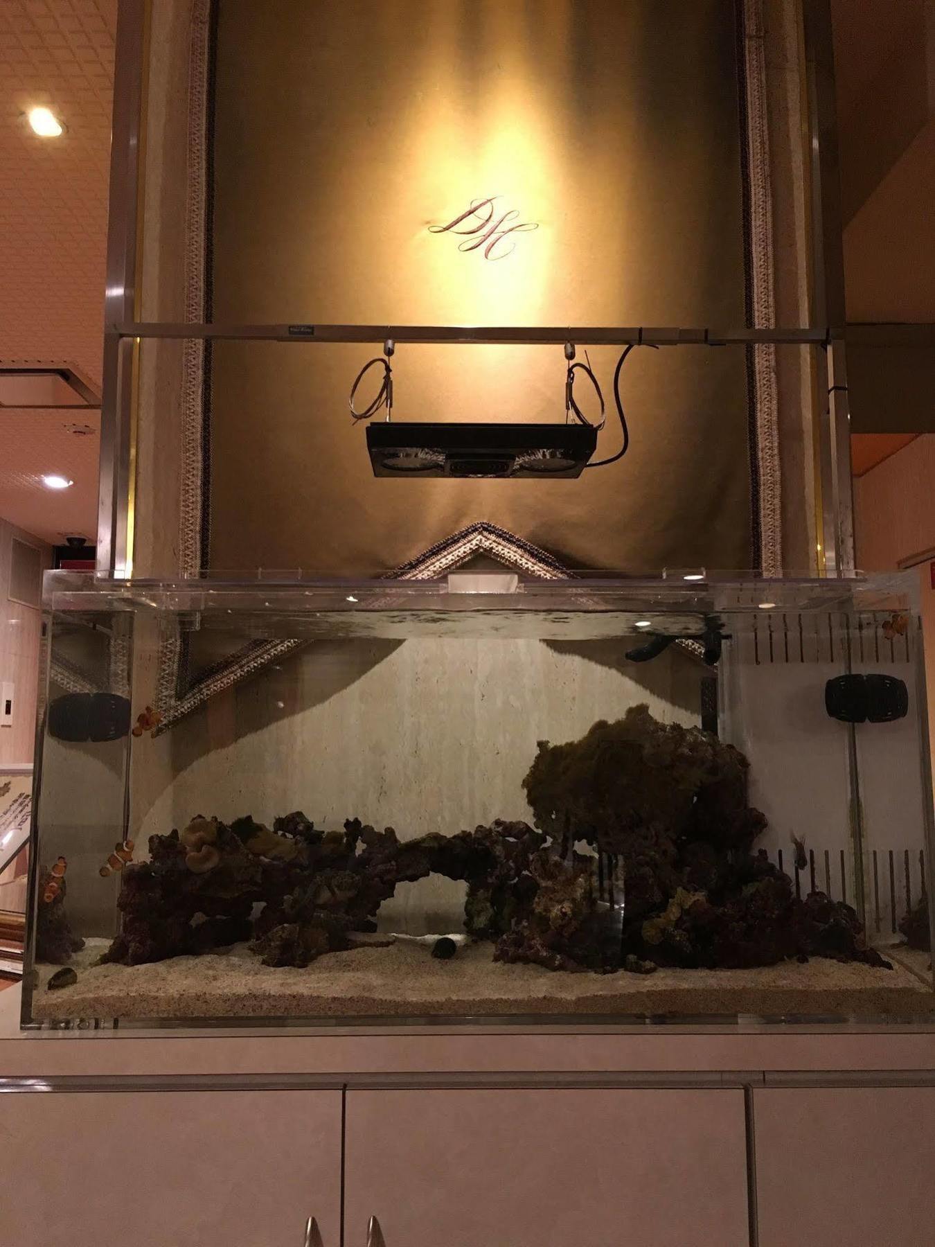 Hotel Diamond
