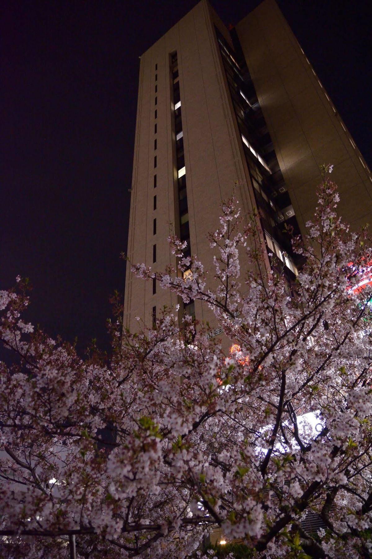 Youth Hostel Tokyo