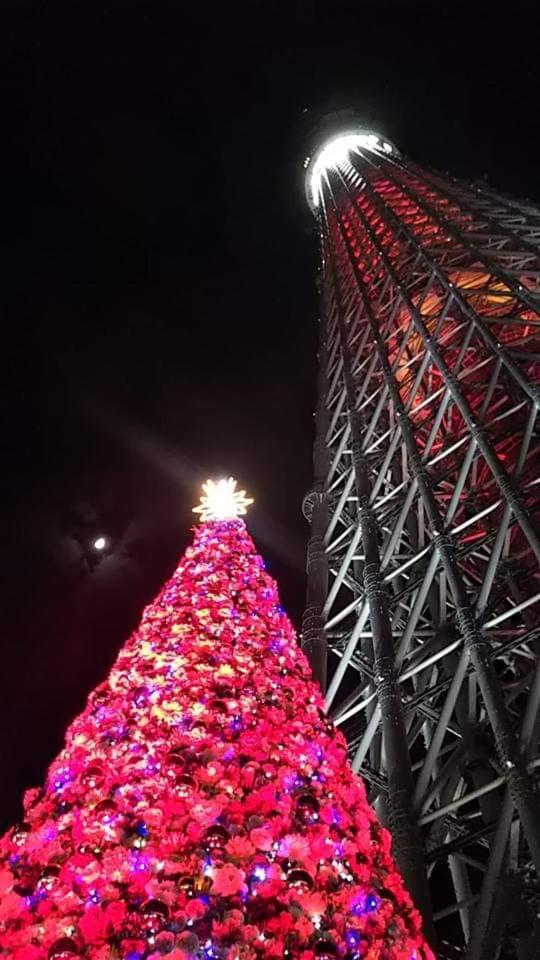 Sakura Guest house