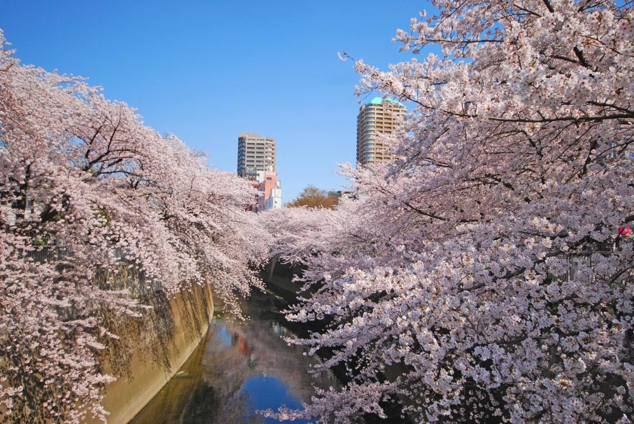 Sotetsu Fresa Kanda Hotel 3*