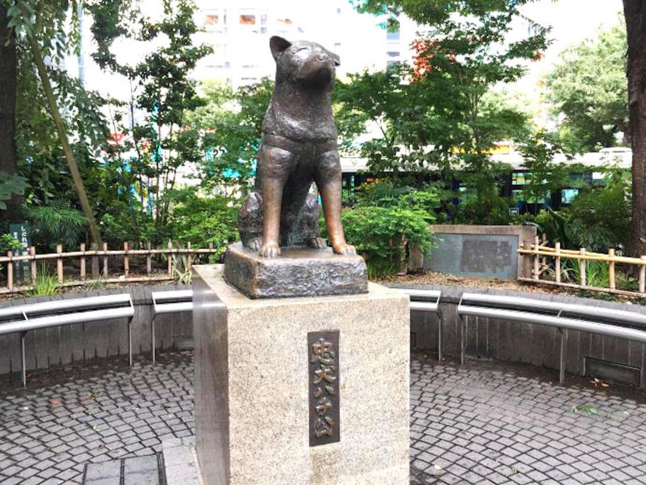 Shibuya Anon #a101 Apartment Tokyo