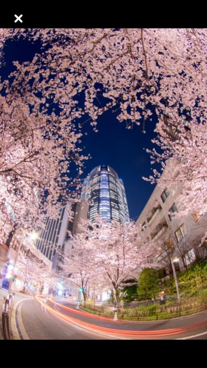 Forecity Kinshicho Apartment *