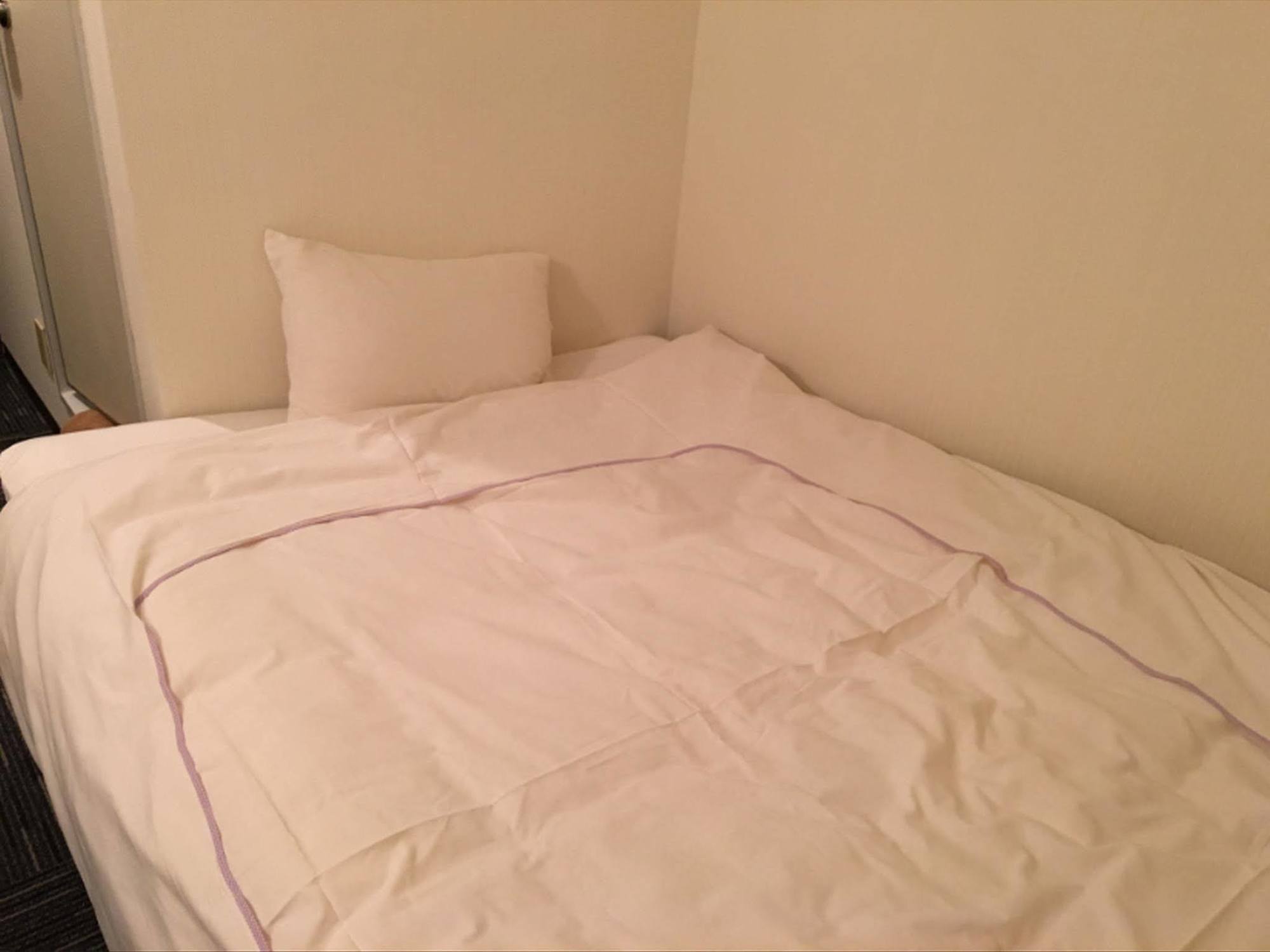 Ikebukuro Royal Higashiguchi Hotel 2*