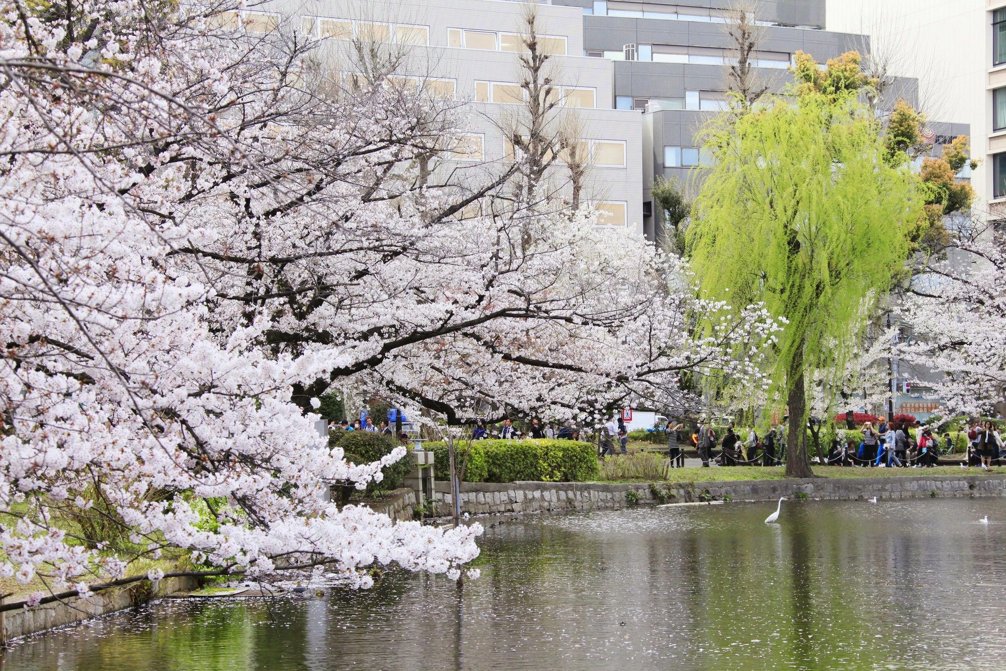 Hotel Centurion Hotel&spa Ueno Station