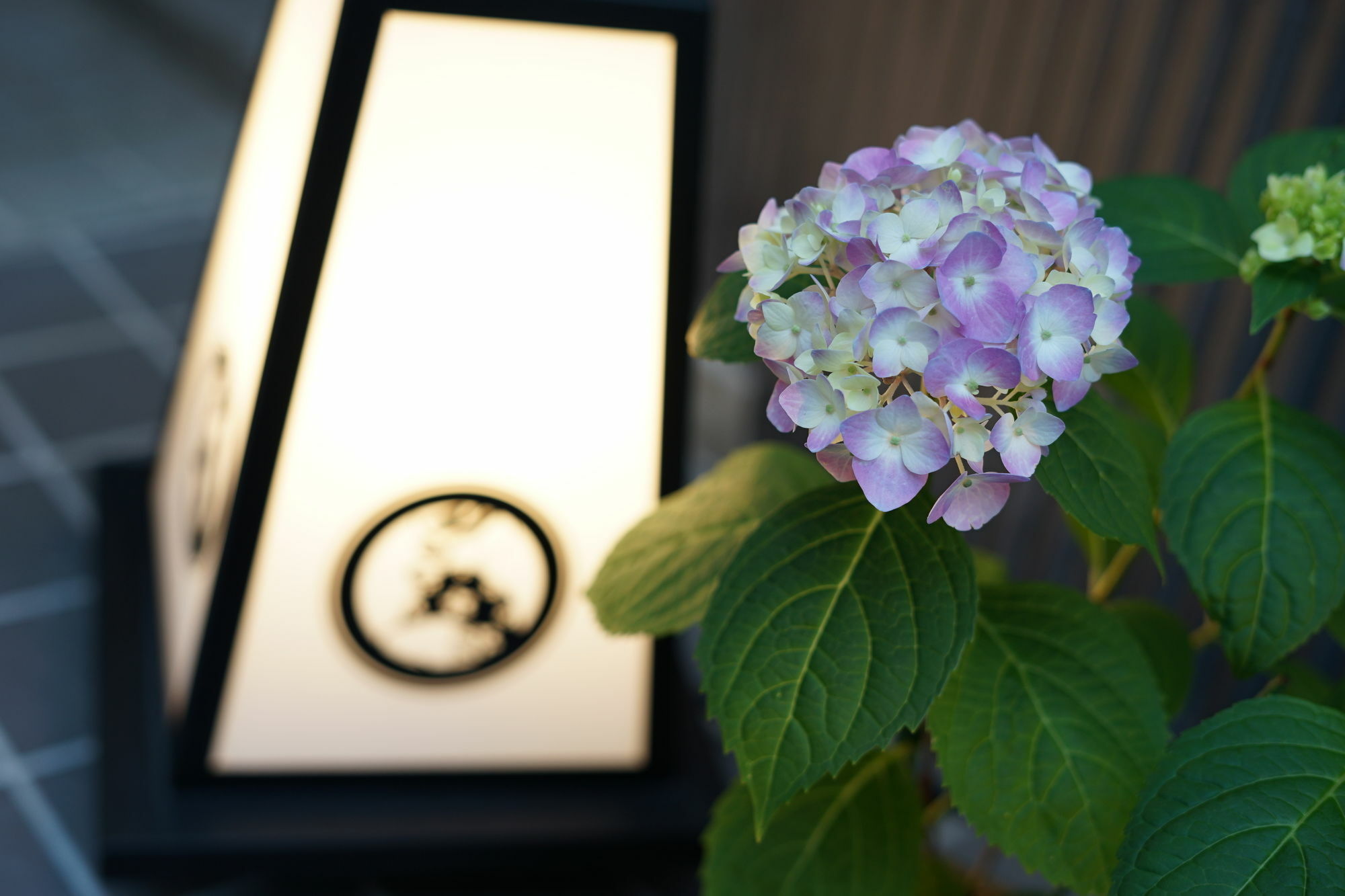 Nadeshiko Hotel Tokyo Shibuya By Unito Female-Only *