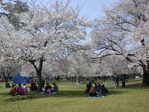 Homestay Haneda Homestay