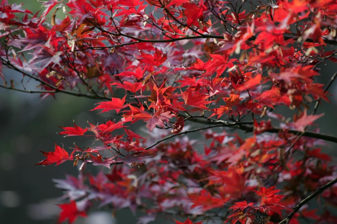 Chinzanso Hotel Tokyo