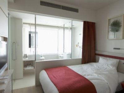 Remm Akihabara 3*