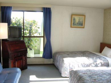 Ueno New Izu Hotel 2*