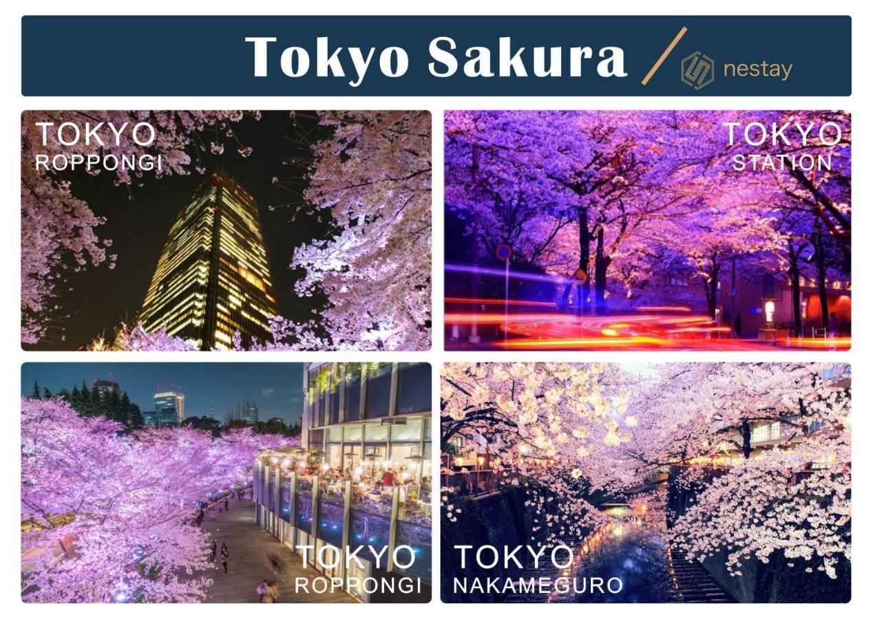 Nestay Otsuka 203 * Tokyo
